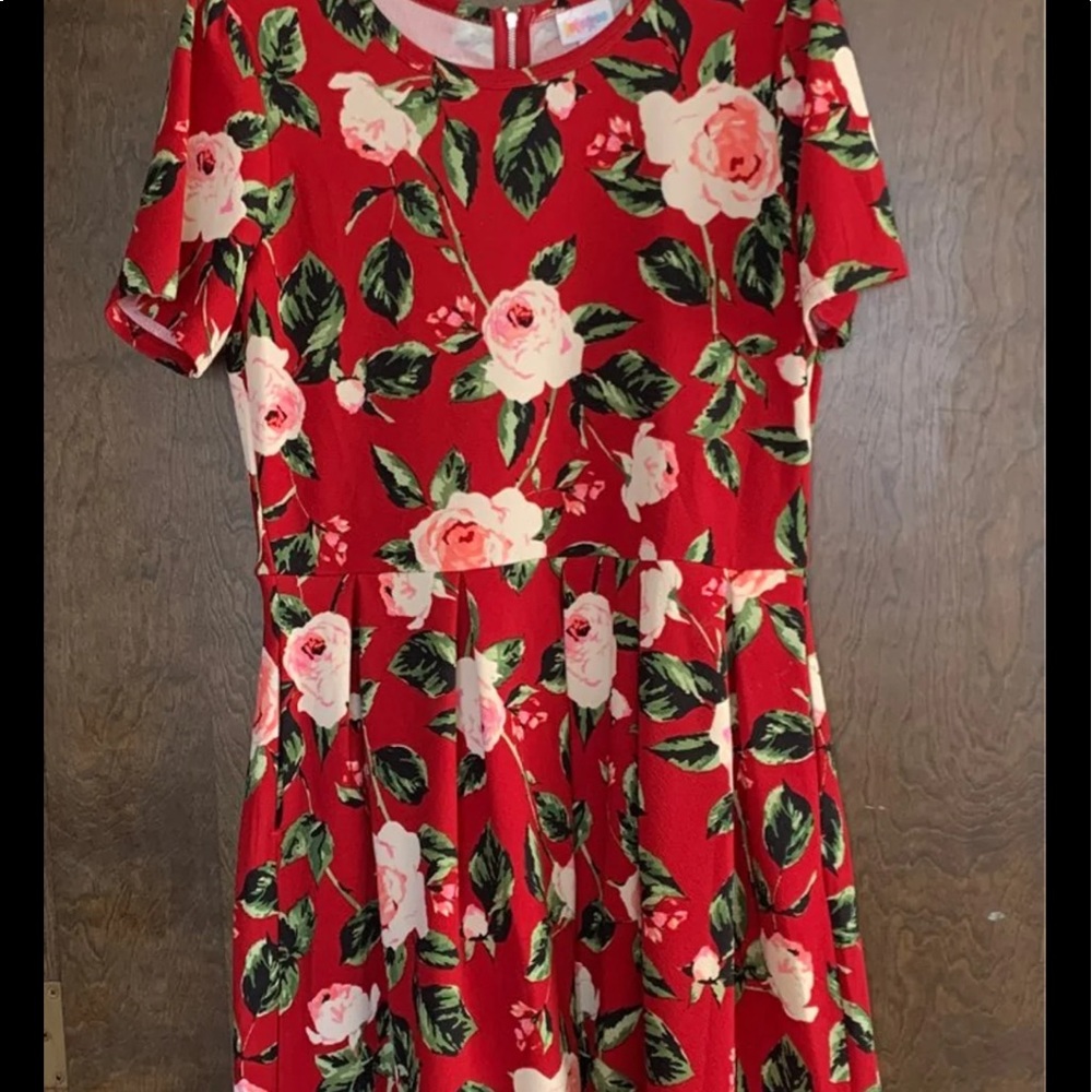 Excellent condition. Red with pink and white roses.